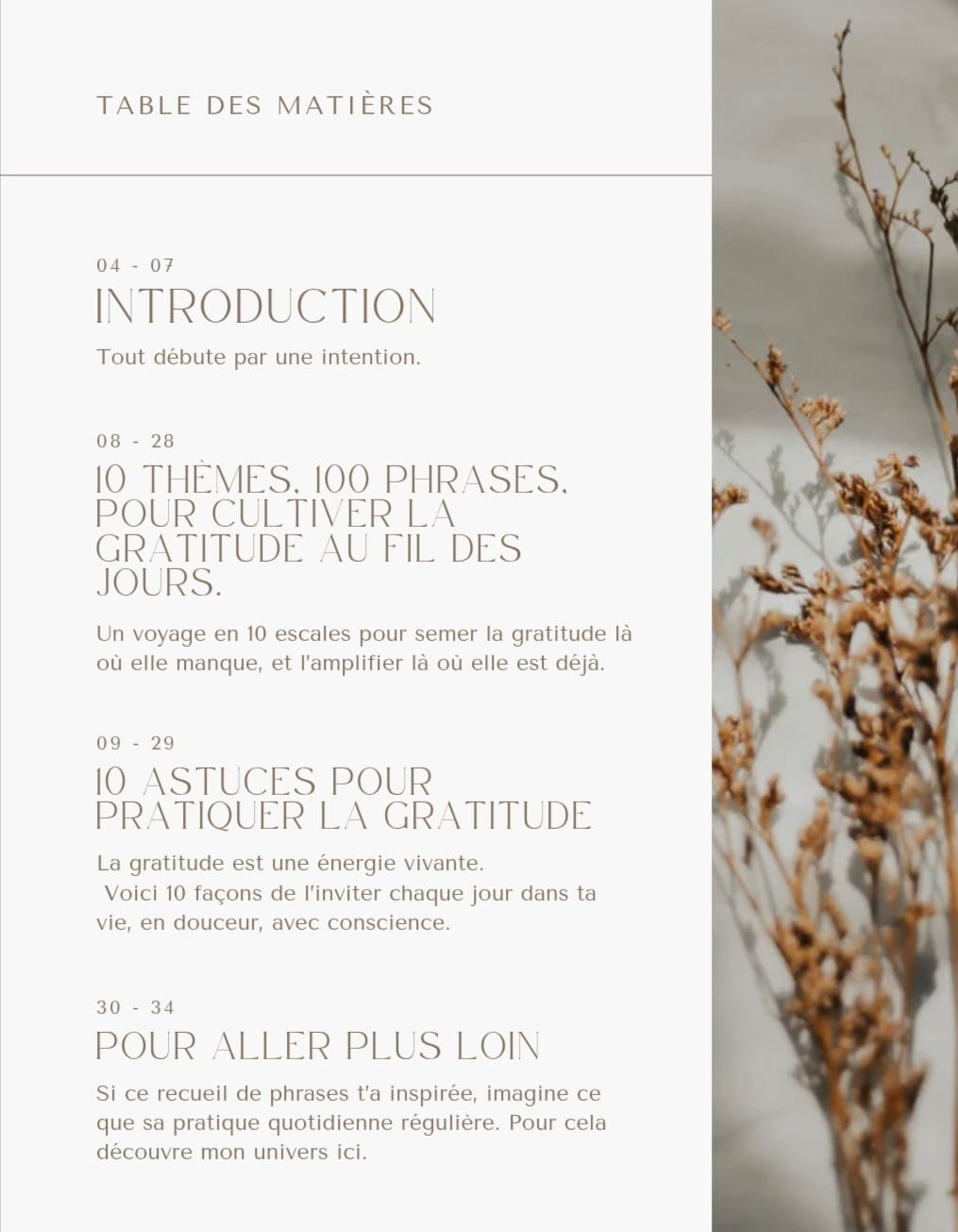 E-Book: 100 phrases de gratitude