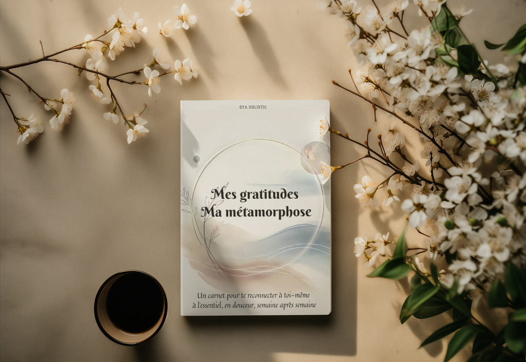 🦋 Mon journal de gratitude et de transformation – Version Papillon