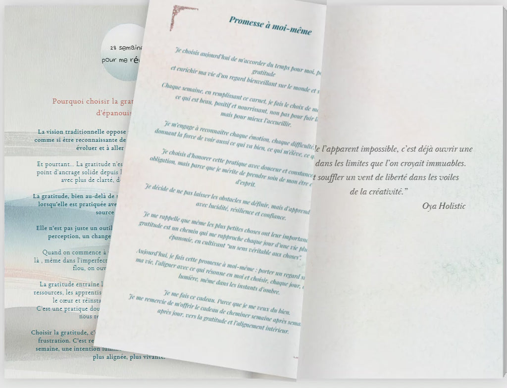 🦋 Mon journal de gratitude et de transformation – Version Papillon