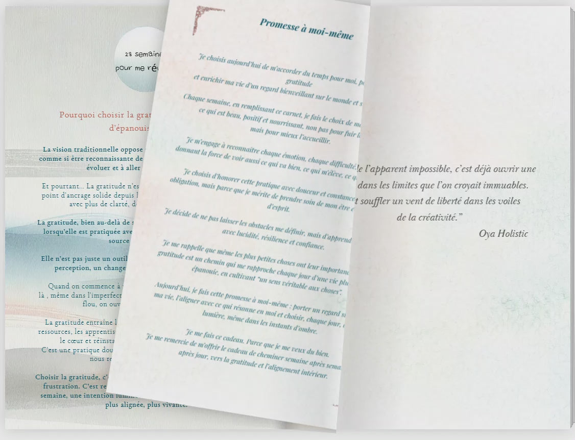 🦋 Mon journal de gratitude et de transformation – Version Papillon